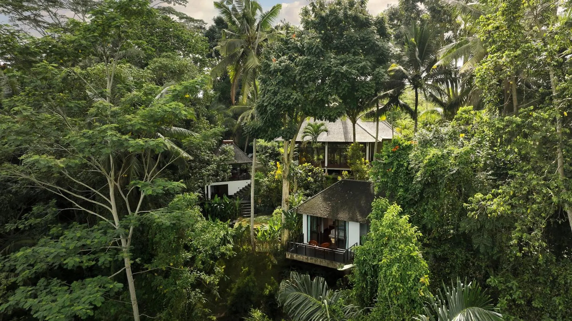 Villa Leona Suweta Ubud By Nakula